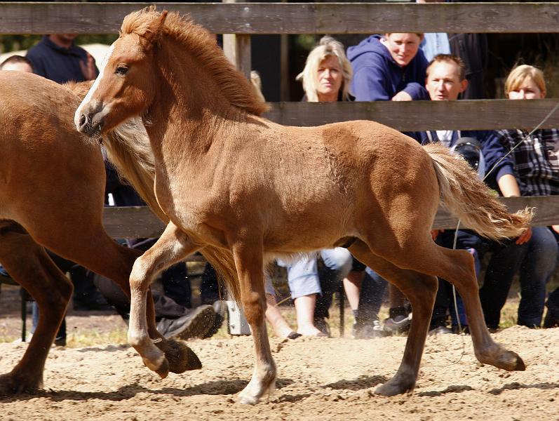 Gabriel von Heidmoor.jpg